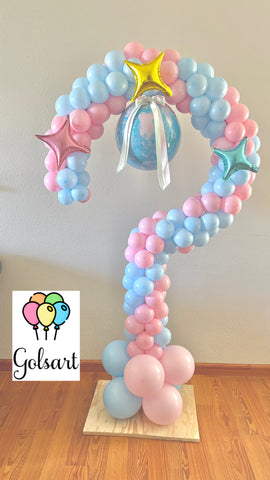 Baby Reveal Question Mark